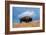 Bison, Yellowstone National Park, Wyoming II-Art Wolfe-Framed Giclee Print