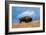 Bison, Yellowstone National Park, Wyoming II-Art Wolfe-Framed Giclee Print