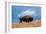 Bison, Yellowstone National Park, Wyoming II-Art Wolfe-Framed Giclee Print