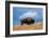 Bison, Yellowstone National Park, Wyoming II-Art Wolfe-Framed Giclee Print