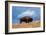 Bison, Yellowstone National Park, Wyoming II-Art Wolfe-Framed Giclee Print