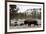 Bison, Yellowstone National Park, Wyoming-Paul Souders-Framed Photographic Print