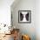 Bison-null-Framed Photographic Print displayed on a wall