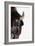 Bison-null-Framed Photographic Print