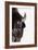 Bison-null-Framed Photographic Print