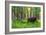 Bison-null-Framed Photographic Print