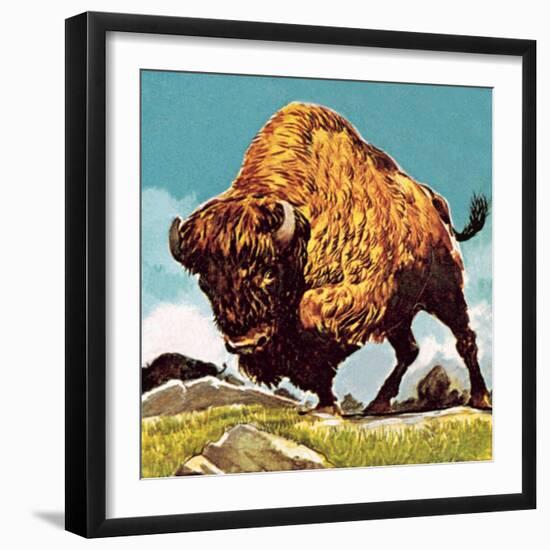 Bison-English School-Framed Giclee Print