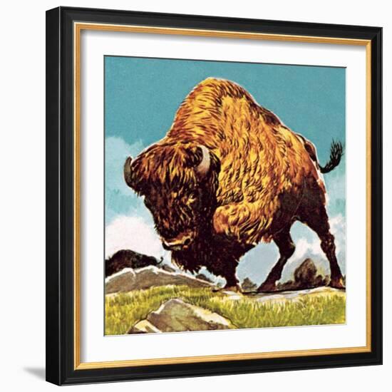 Bison-English School-Framed Giclee Print