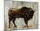 Bison-Sydney Edmunds-Mounted Giclee Print