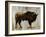 Bison-Sydney Edmunds-Framed Giclee Print