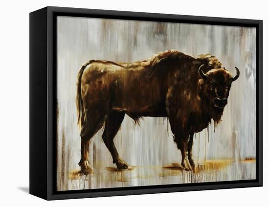 Bison-Sydney Edmunds-Framed Premier Image Canvas