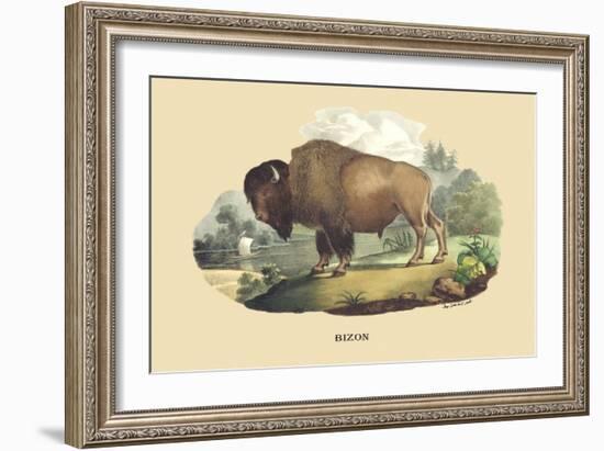 Bison-E.f. Noel-Framed Art Print