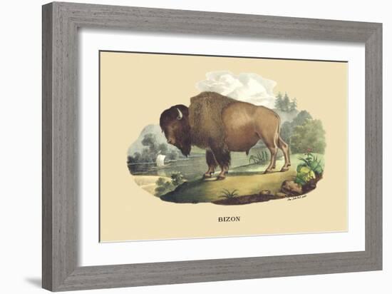 Bison-E.f. Noel-Framed Art Print