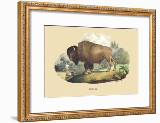 Bison-E.f. Noel-Framed Art Print