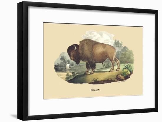 Bison-E.f. Noel-Framed Art Print