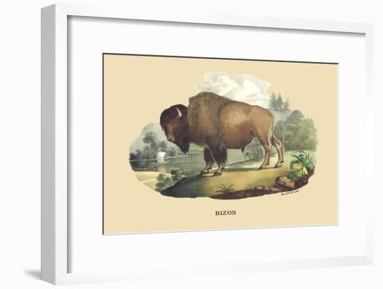 Bison-E.f. Noel-Framed Art Print