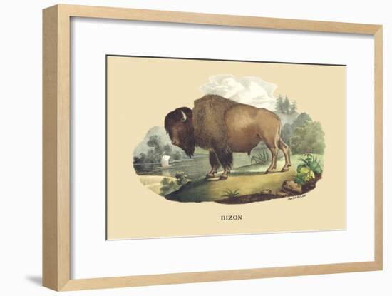 Bison-E.f. Noel-Framed Art Print