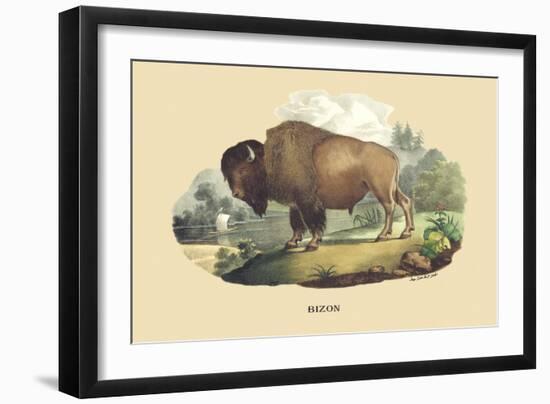 Bison-E.f. Noel-Framed Art Print