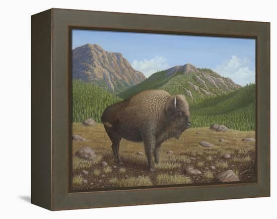 Bison-Robert Wavra-Framed Premier Image Canvas