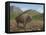 Bison-Robert Wavra-Framed Premier Image Canvas