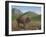 Bison-Robert Wavra-Framed Giclee Print