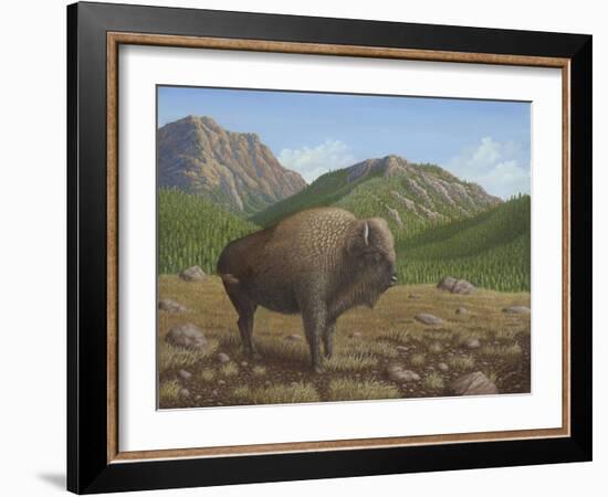 Bison-Robert Wavra-Framed Giclee Print