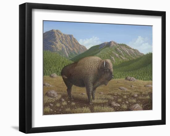 Bison-Robert Wavra-Framed Giclee Print