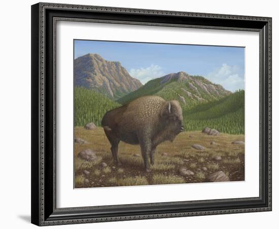 Bison-Robert Wavra-Framed Giclee Print