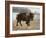 Bison-Rusty Frentner-Framed Giclee Print