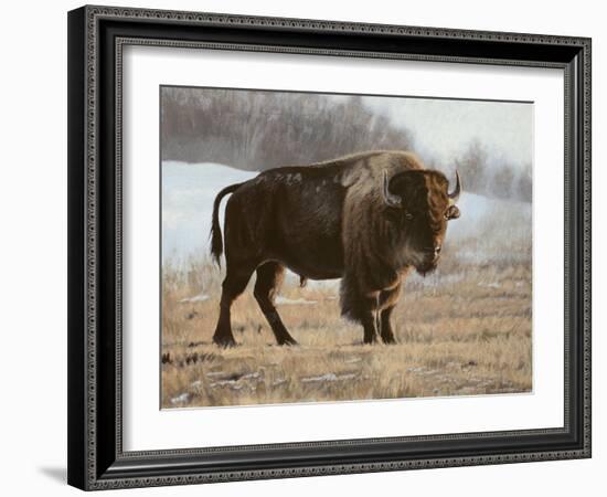 Bison-Rusty Frentner-Framed Giclee Print