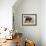 Bison-Rusty Frentner-Framed Giclee Print displayed on a wall