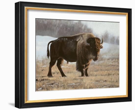 Bison-Rusty Frentner-Framed Giclee Print