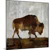 Bison-Carl Colburn-Mounted Art Print