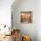 Bistro du Paradou-Trish Biddle-Framed Stretched Canvas displayed on a wall