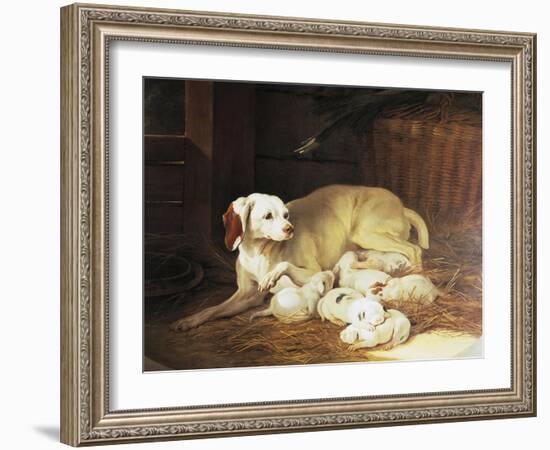 Bitch Nursing Puppies-Jean-Baptiste Oudry-Framed Giclee Print