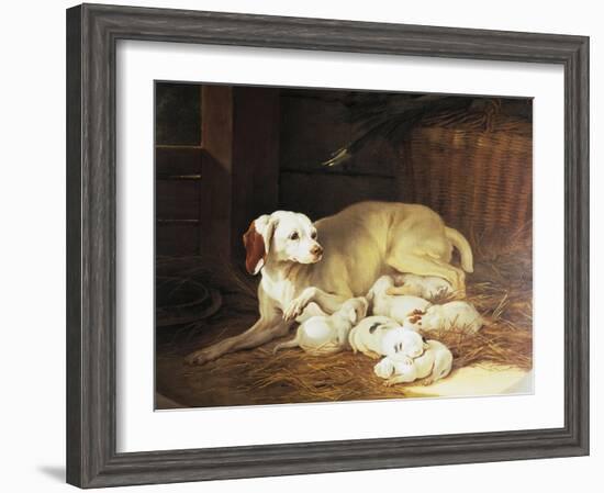 Bitch Nursing Puppies-Jean-Baptiste Oudry-Framed Giclee Print