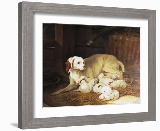 Bitch Nursing Puppies-Jean-Baptiste Oudry-Framed Giclee Print