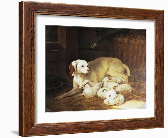 Bitch Nursing Puppies-Jean-Baptiste Oudry-Framed Giclee Print