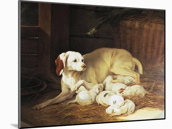 Bitch Nursing Puppies-Jean-Baptiste Oudry-Mounted Giclee Print