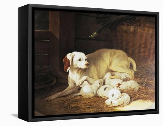 Bitch Nursing Puppies-Jean-Baptiste Oudry-Framed Premier Image Canvas