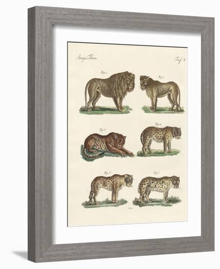 Biting Animals-null-Framed Giclee Print