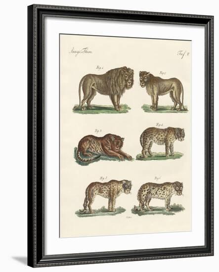 Biting Animals-null-Framed Giclee Print