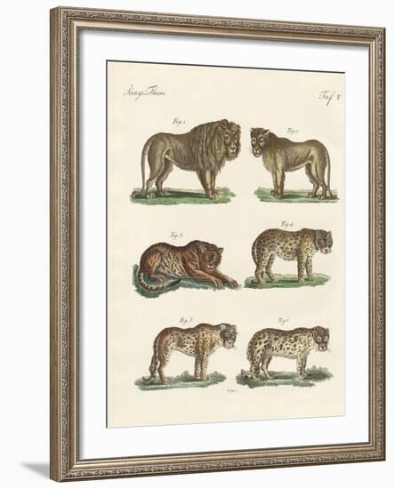 Biting Animals-null-Framed Giclee Print