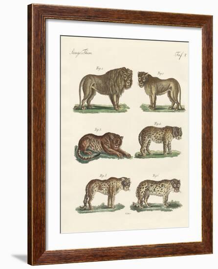 Biting Animals-null-Framed Giclee Print