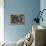 Bitis Gabonica (Gaboon Viper)-Paul Starosta-Framed Premier Image Canvas displayed on a wall