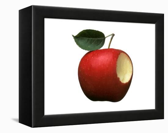 Bitten Apple-Wolfgang Usbeck-Framed Premier Image Canvas