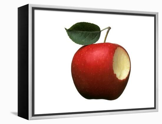 Bitten Apple-Wolfgang Usbeck-Framed Premier Image Canvas