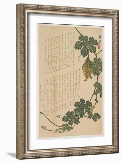 Bitter Melon, 1825-Dodo Hirotoshi-Framed Giclee Print