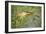 Bittern Outside Reed Beds, Searching for Prey-null-Framed Photographic Print
