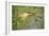 Bittern Outside Reed Beds, Searching for Prey-null-Framed Photographic Print